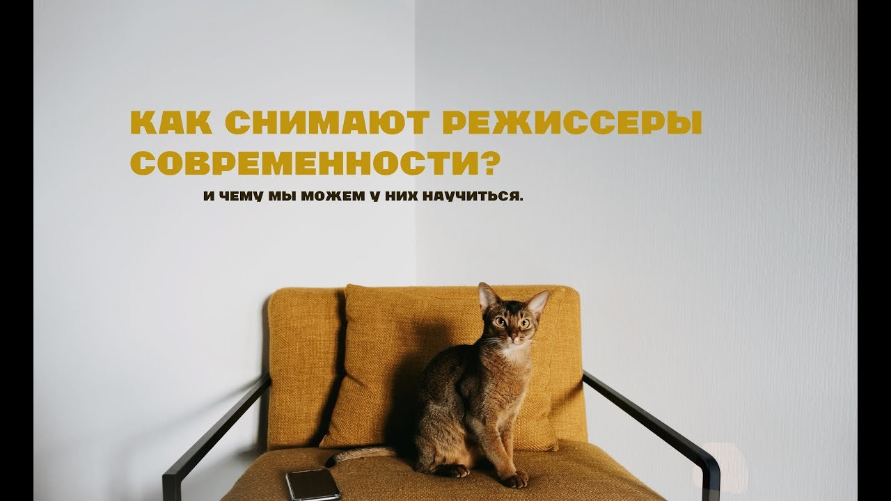 Пять режиссеров современности, и как их картины могут помочь в развитии собственного стиля. Портретный и fashion-фотограф в Санкт-Петербурге Олеся Поле