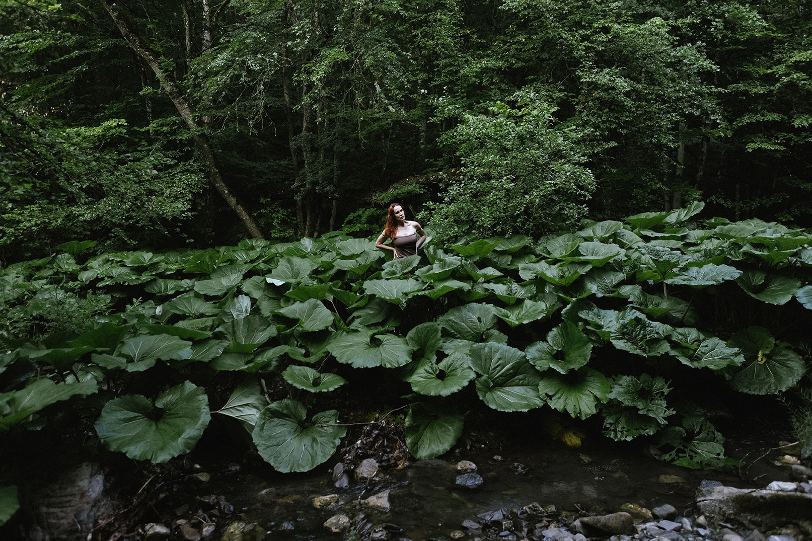 Семен Соколов