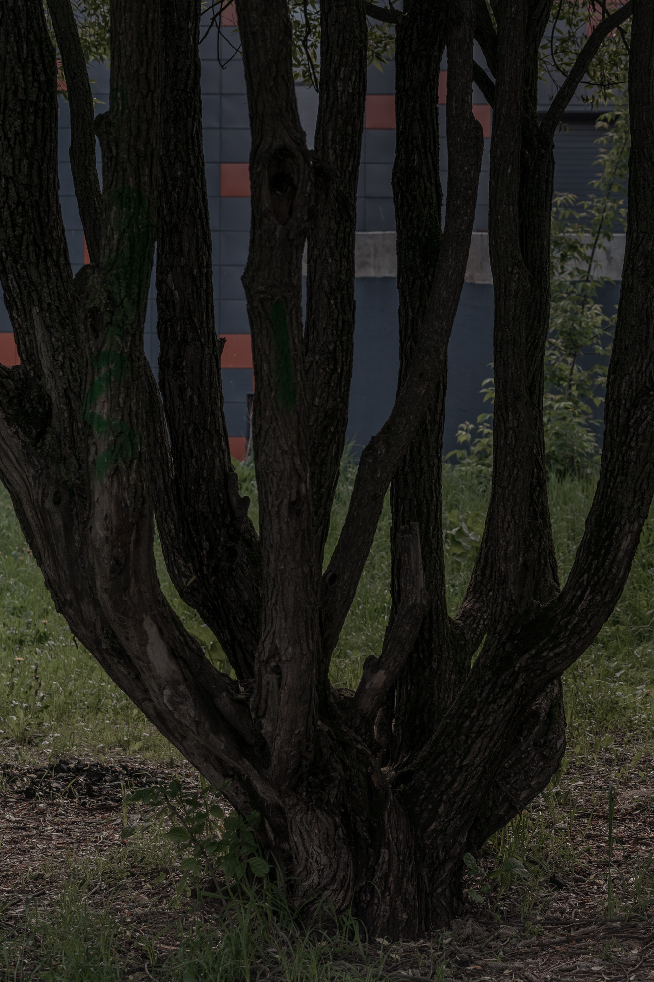 Train to the Dead-End. Mixed-media artist