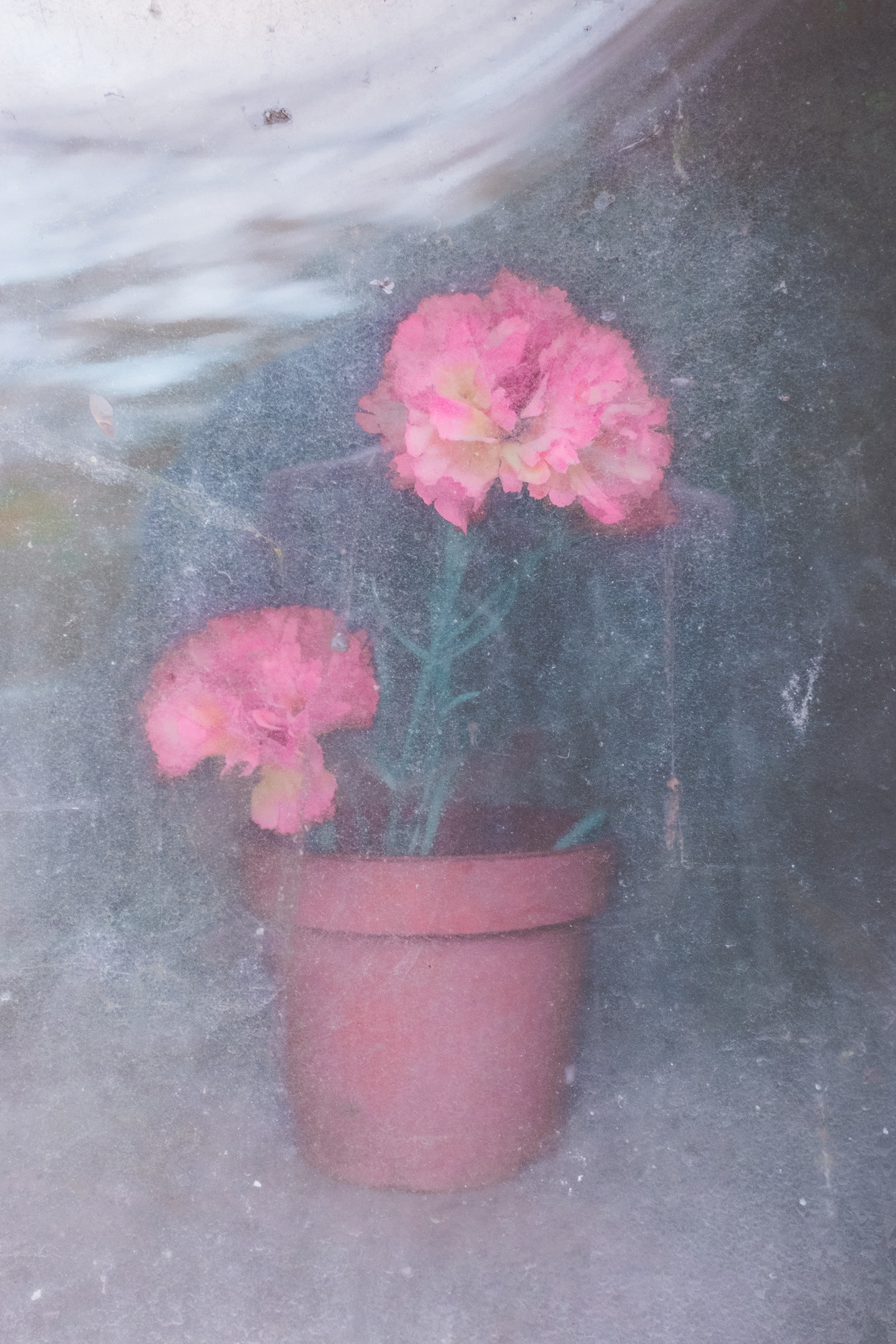 Вечность без запаха. Художница