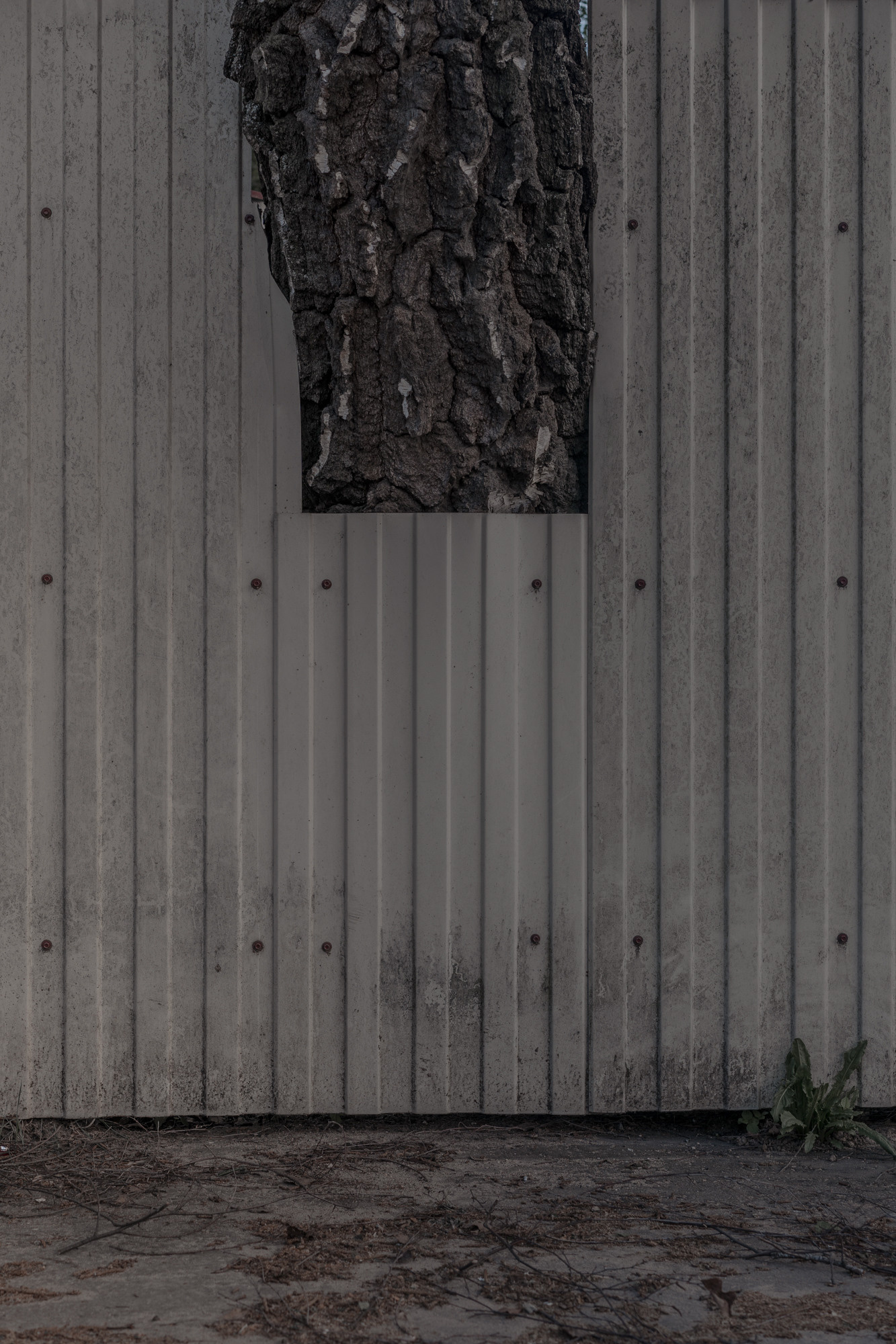 Train to the Dead-End. Mixed-media artist