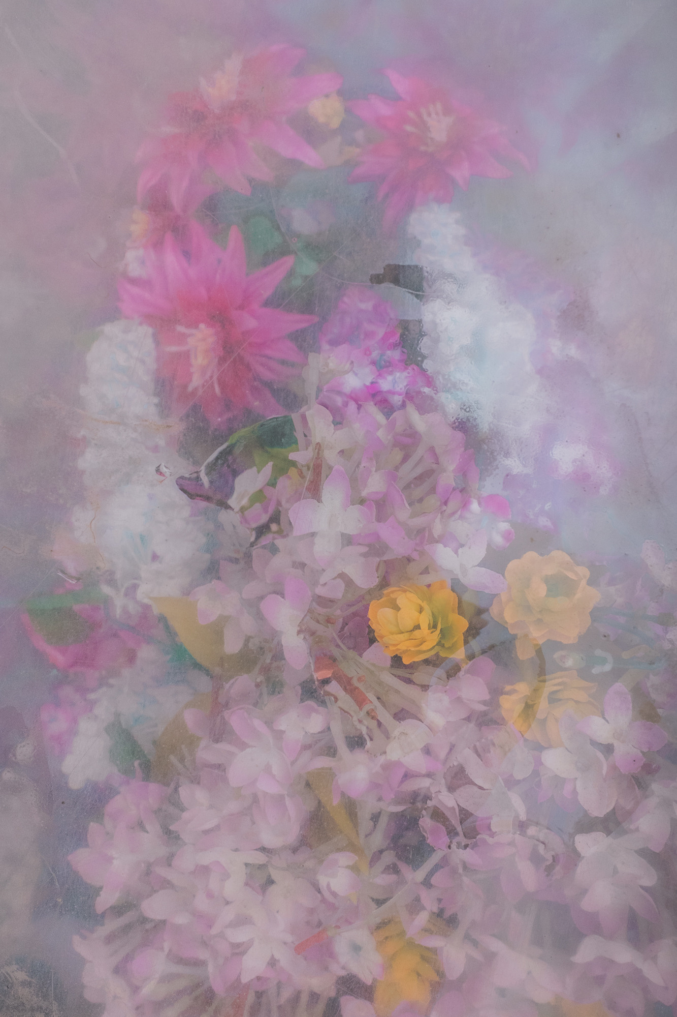 Вечность без запаха. Художница