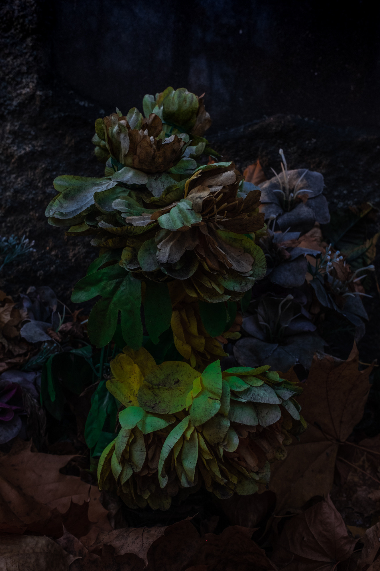 Вечность без запаха. Художница