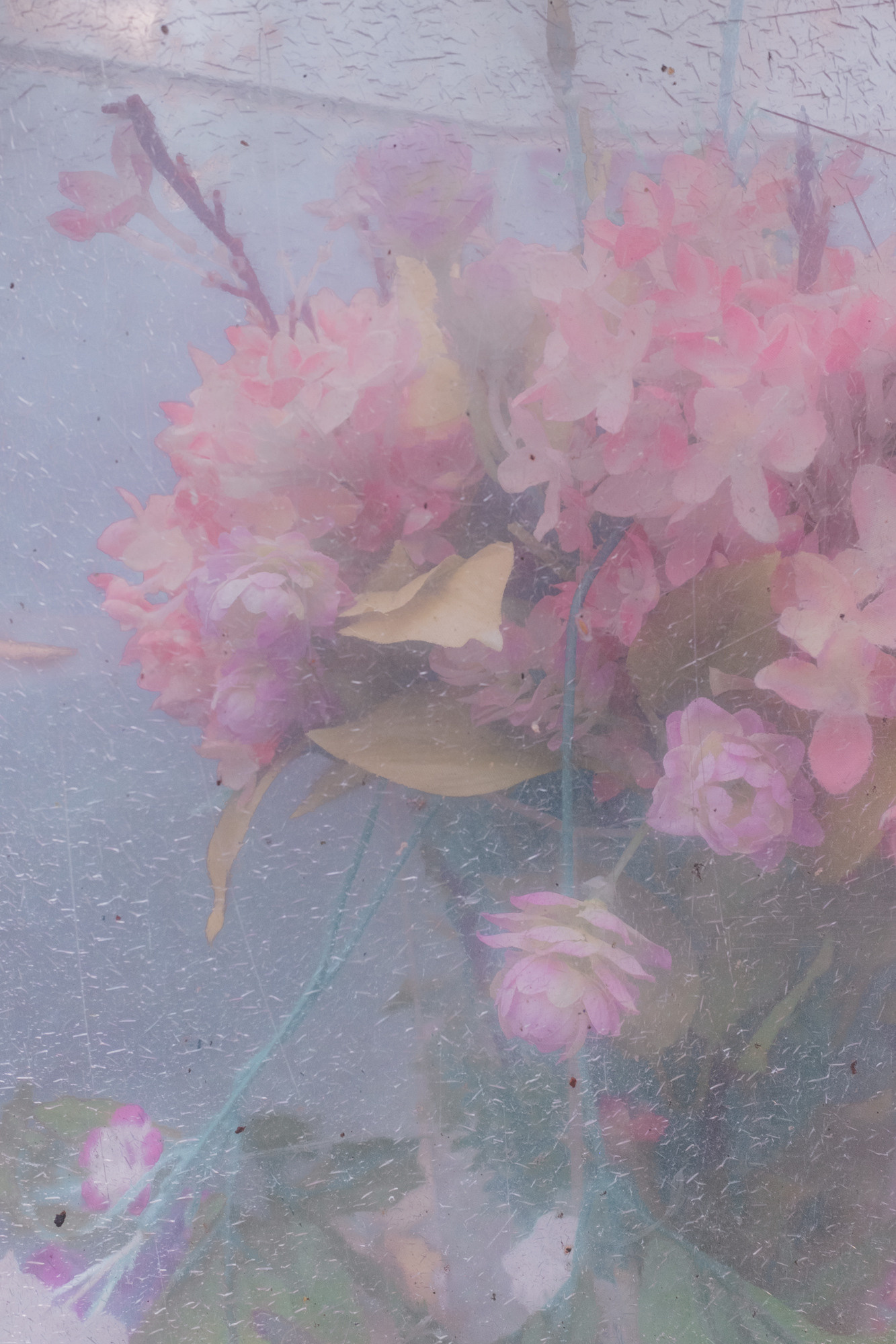 Вечность без запаха. Художница