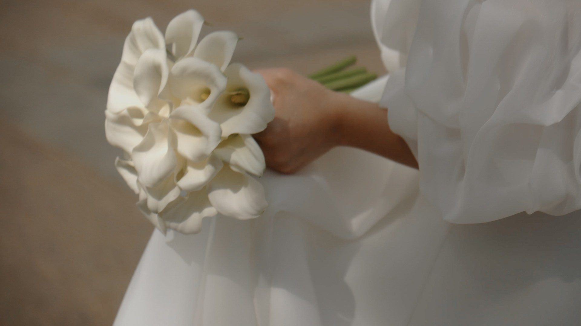 Портфолио. Видеограф Тюмень Дмитрий Перфильев