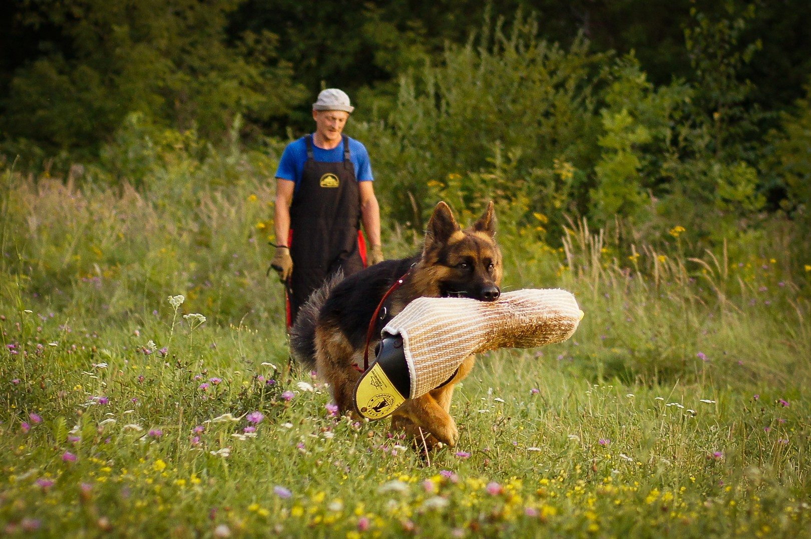 Репортажная съемка. Фотограф-анималист Нижний Новгород