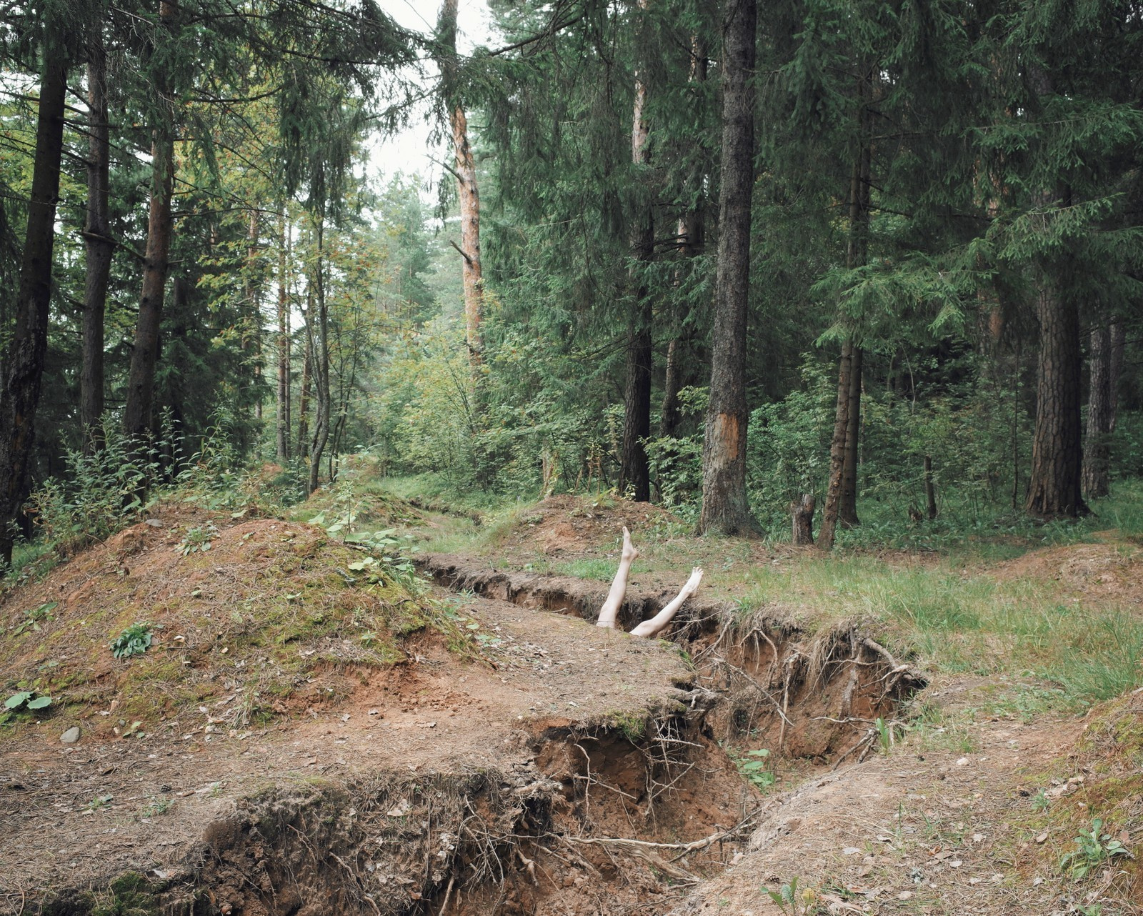 Solitude (2019 — ongoing). Dima Zharov / Documentary photographer, artist