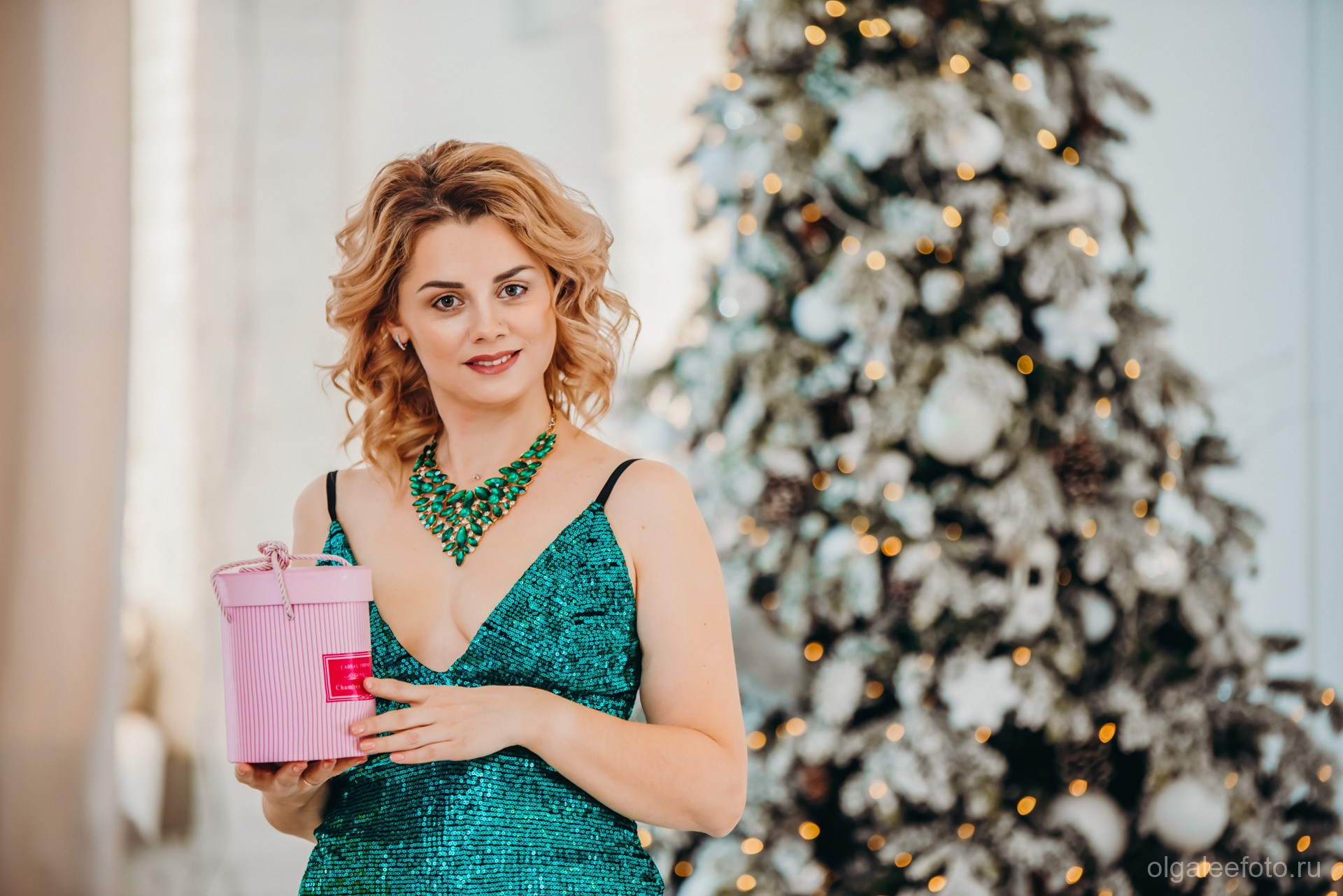Новогодняя. Индивидуальная. Студия Диор. Ольга Ли свадебный семейный фотограф Иркутск