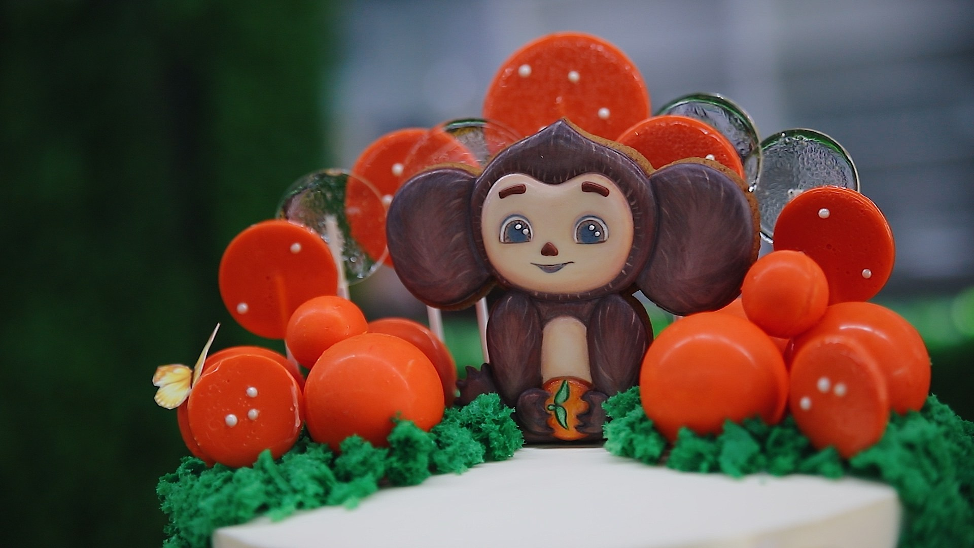 День рождения. Видеосъёмка праздников в Краснодаре