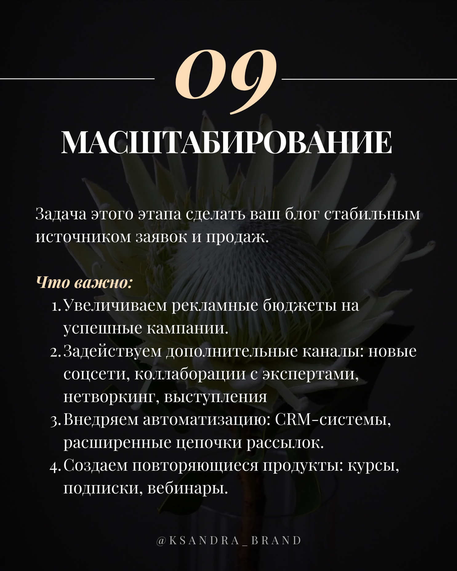 Практическое руководство: «Создание стратегии продвижения в соцсетях на 2025 год