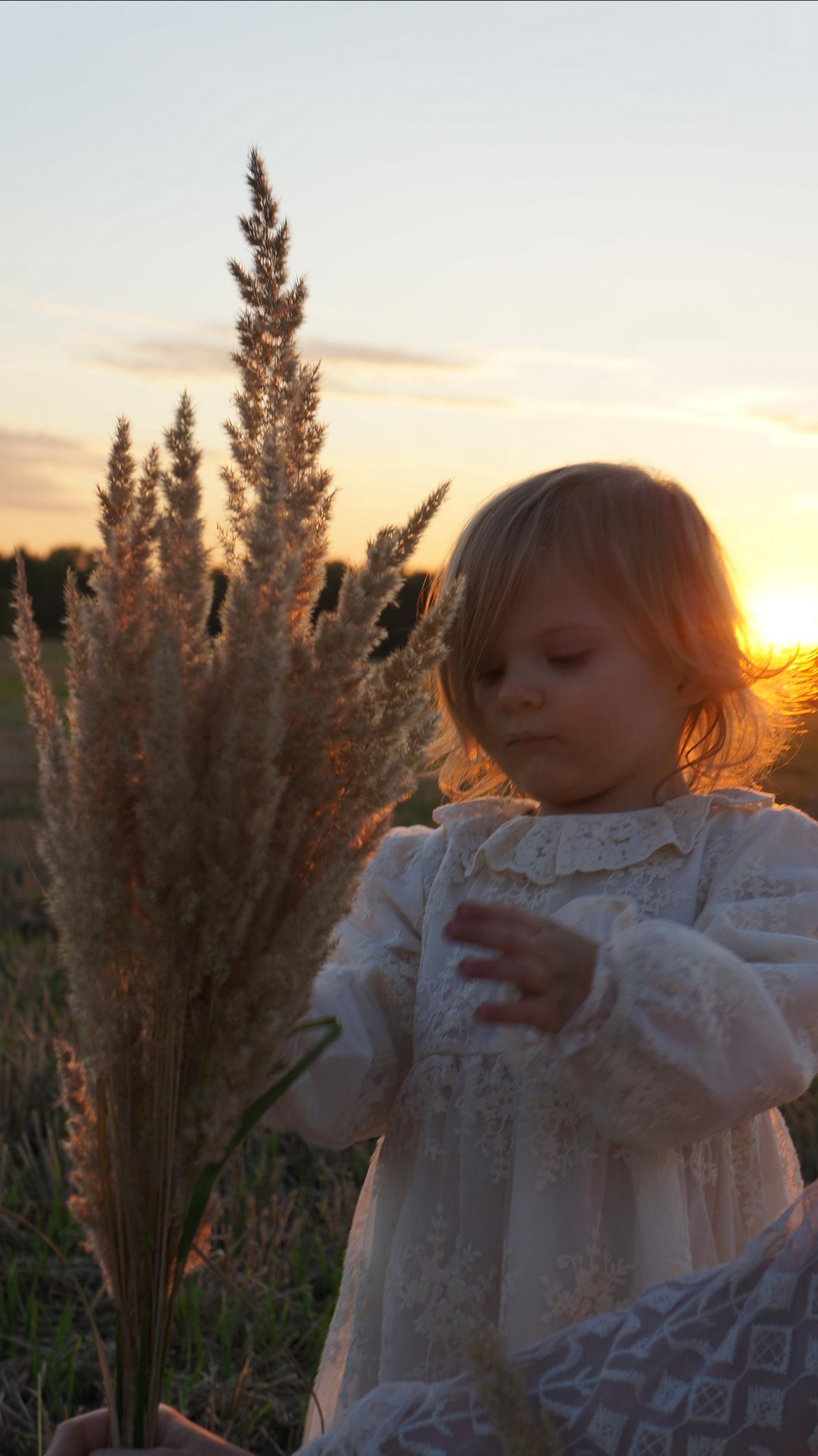 Моя фотостудия: поле, лес, море и горы… Казань — Москва — Болгария