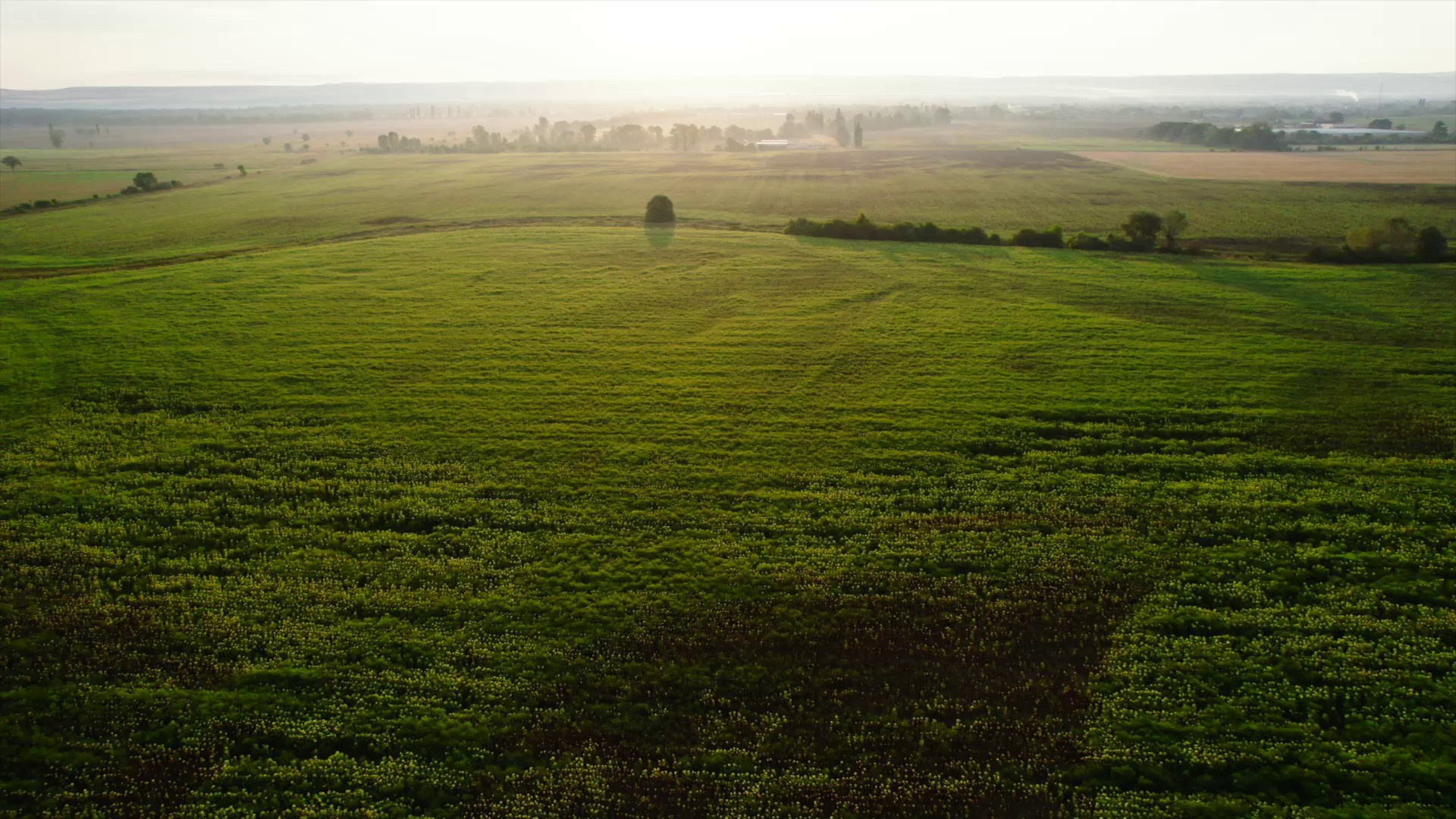 Термальный комплекс. Инвестиционный консалтинг Недвижимость