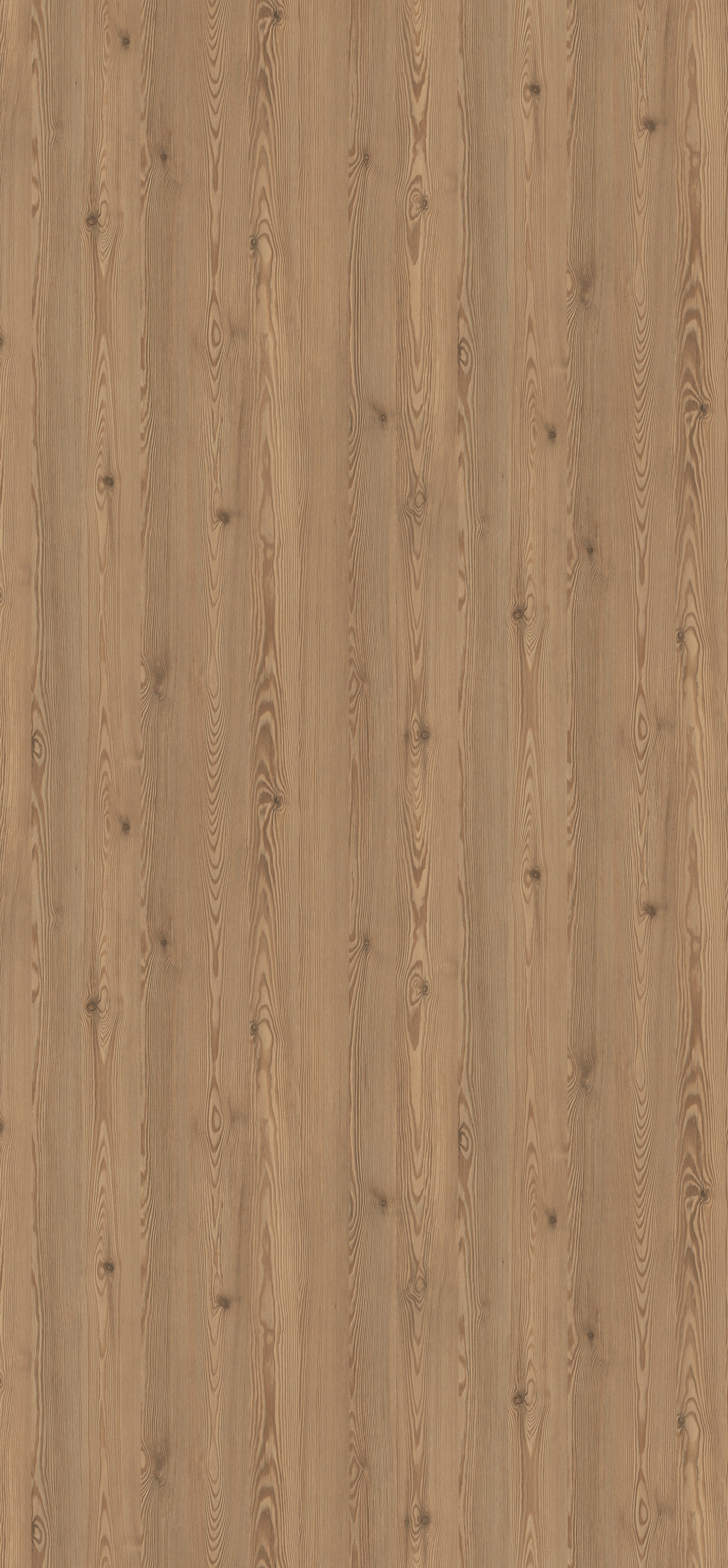 EGGER. Главная