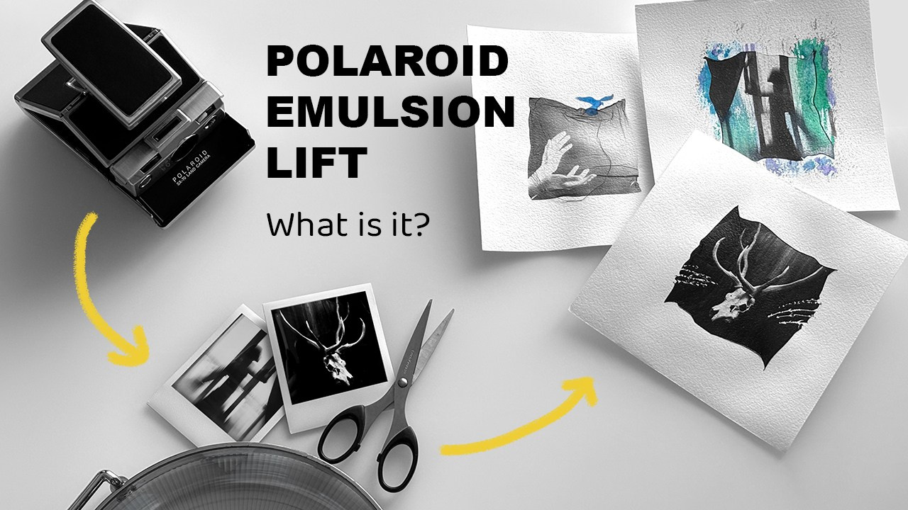 Polaroid art. Vladimir Borele Photographer