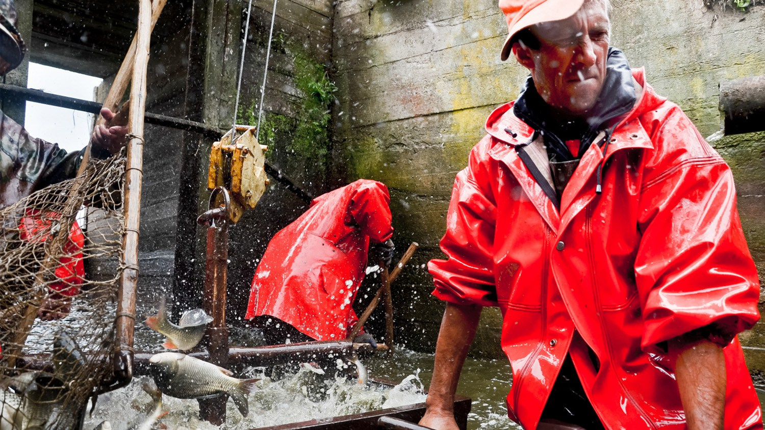 ПОРТФОЛИО/Журналистика. Репортажный фотограф в Минске. Алексей Матюшков