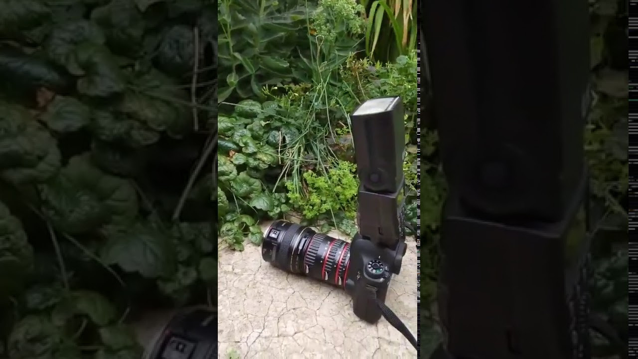 Макро съемка. Как снимать. Фотограф Тамара Нижельская Воронеж