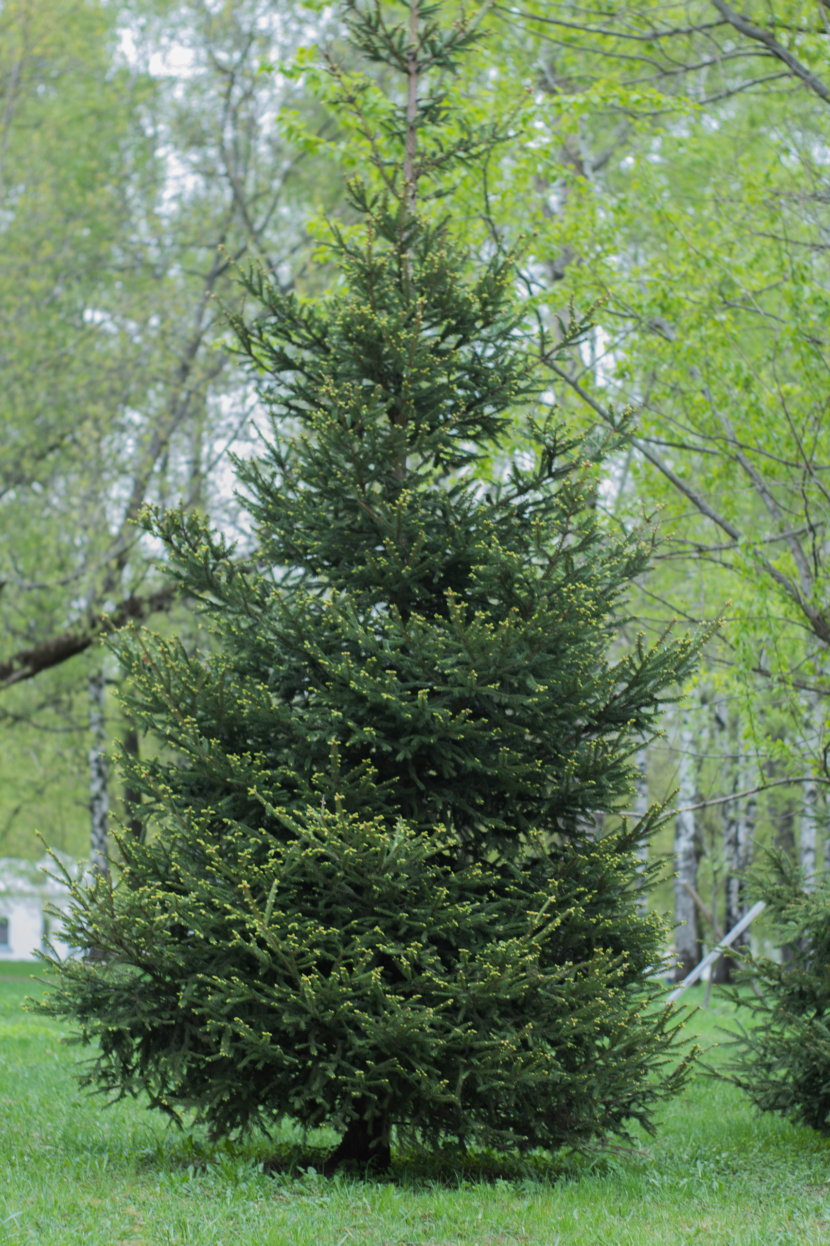 Михаил Дёгтев - фотограф