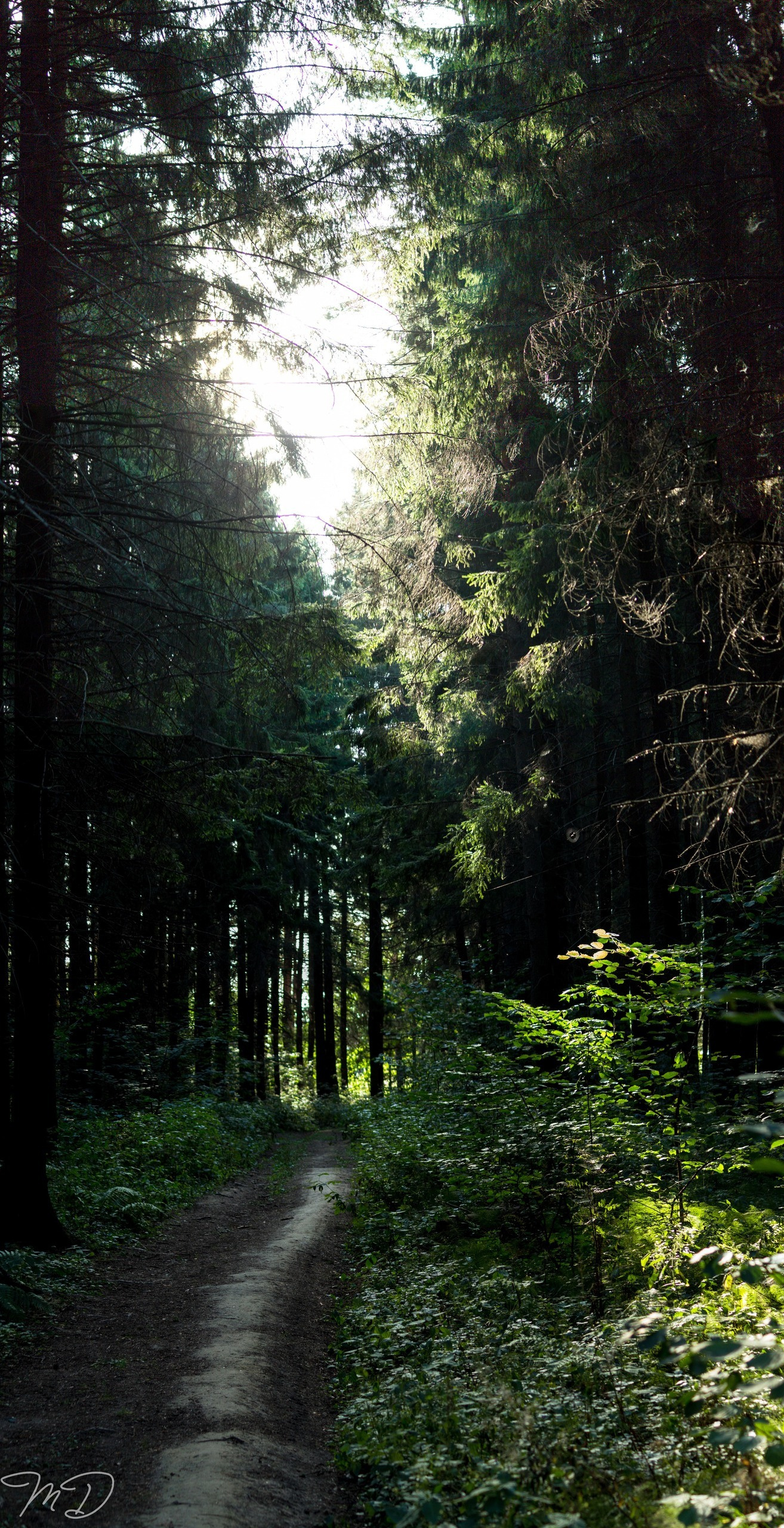 Михаил Дёгтев - фотограф