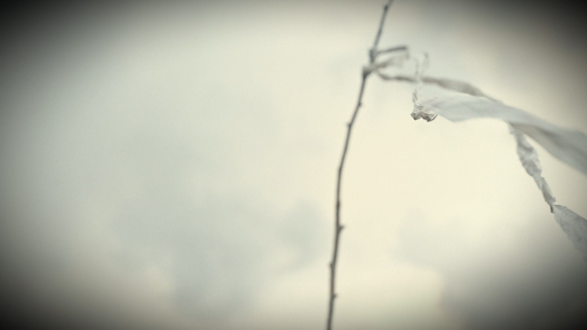 NOSTALGIA. Timeless Art