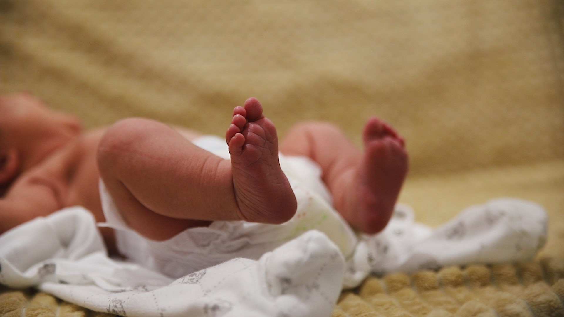 Выписка. Видеосъёмка праздников в Краснодаре