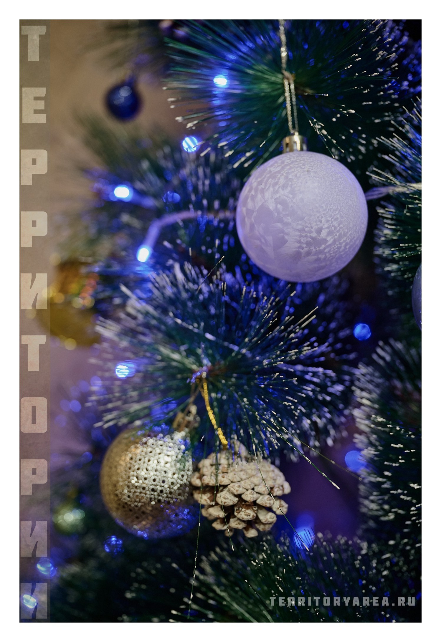 Фотопринты А3. Фотопроект «Территории»