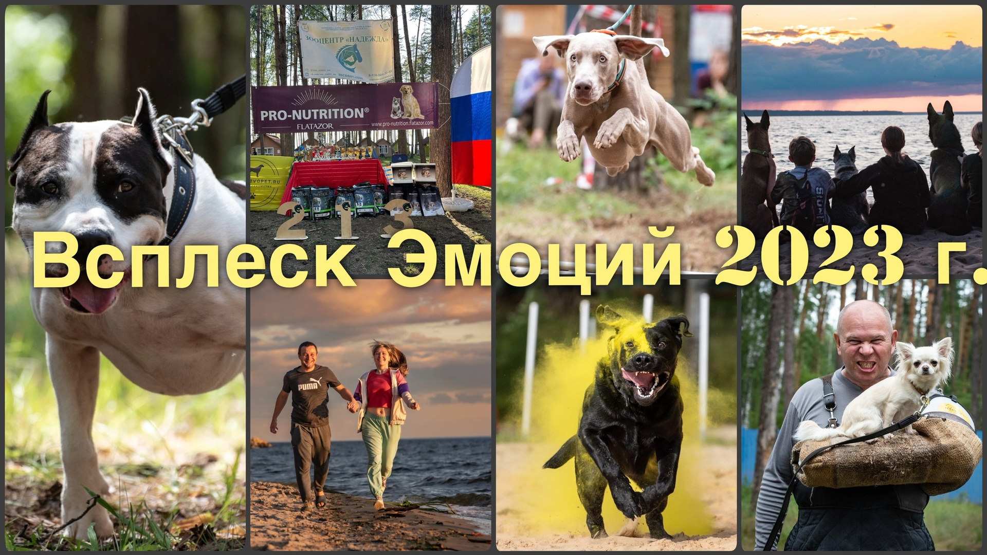 Видеограф Нижний Новгород. Фотограф Макс Огурцов в Нижнем Новгороде