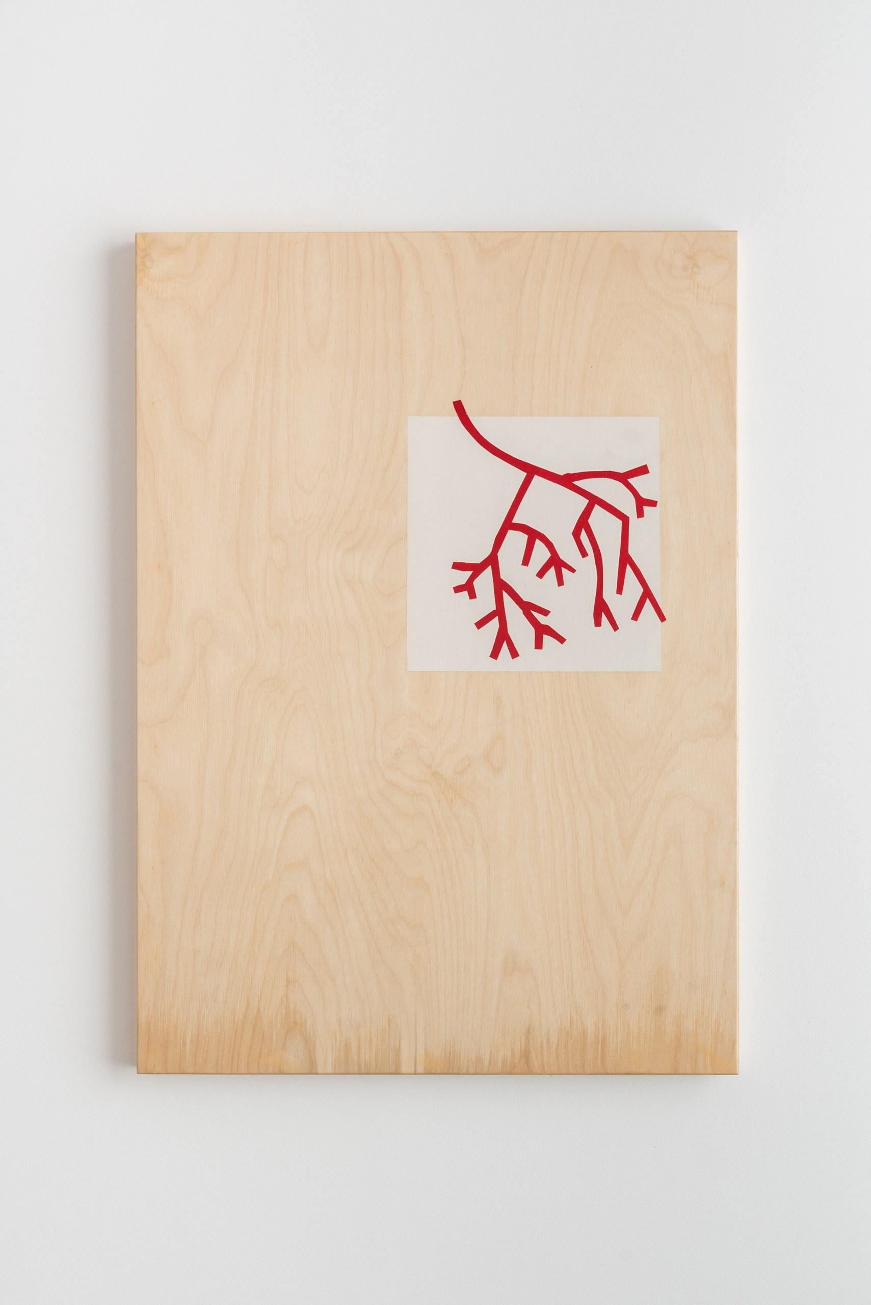 Серия интерактивных объектов ТО — НЕ ТО. Художник Ольга Папшева ЛИТПРИНТ / LITPRINT Саратов