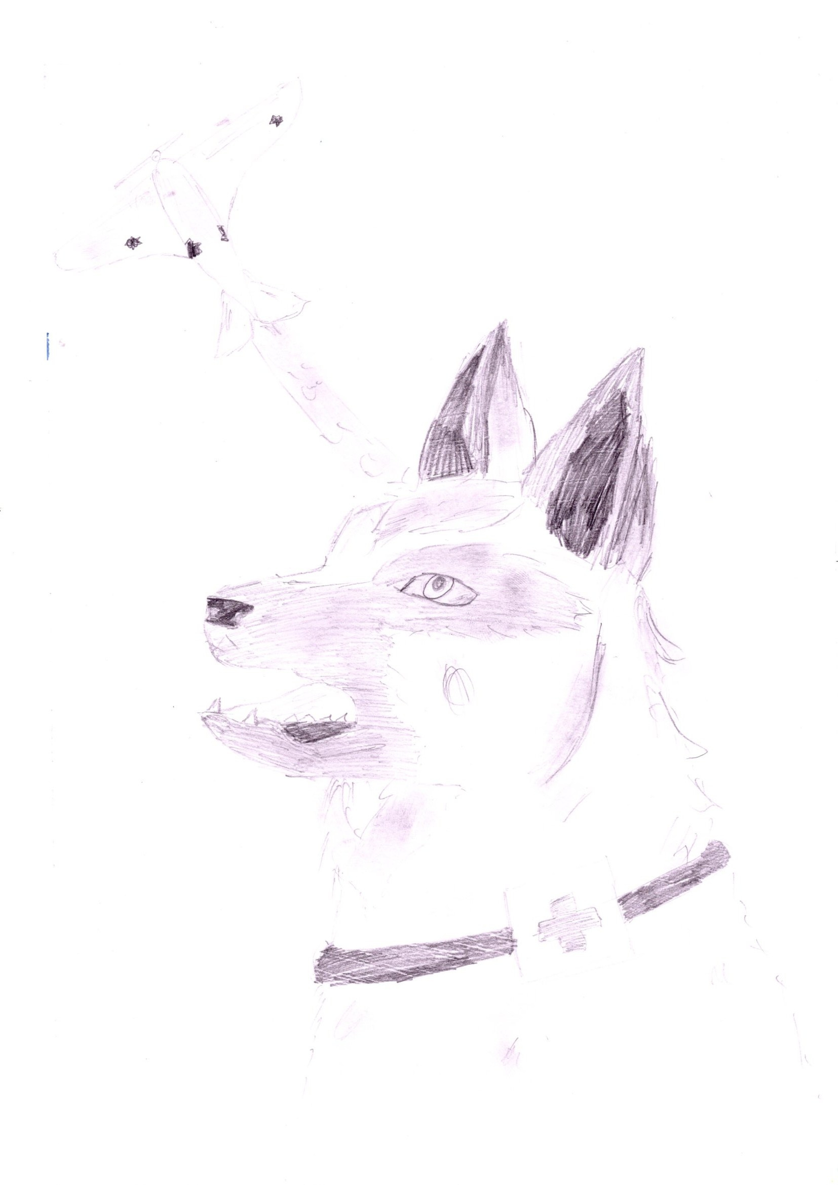 Мероприятия для юных кинологов — «Помним их имена», «Портрет фронтовой собаки». НРОО КЦ "Собаковод"