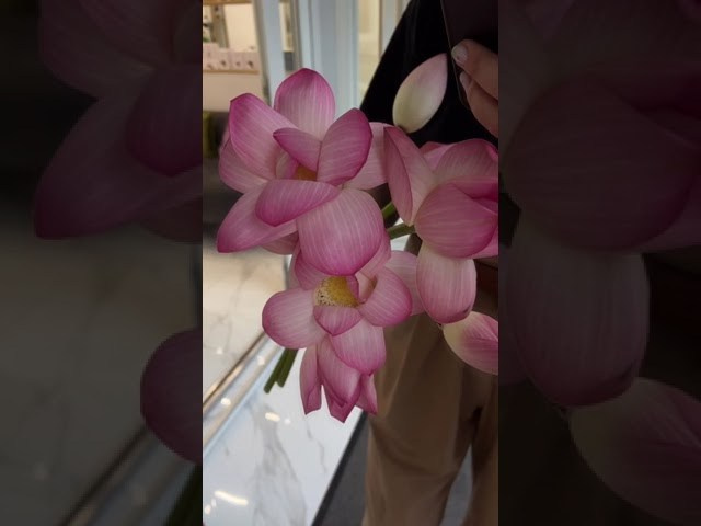 Декор 2024 года. Свадебный и репортажный фотограф Элина Козырьянова