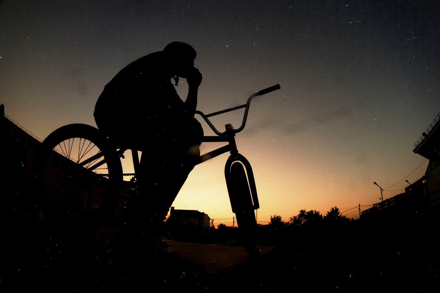 Random photo roulette. Bivol images