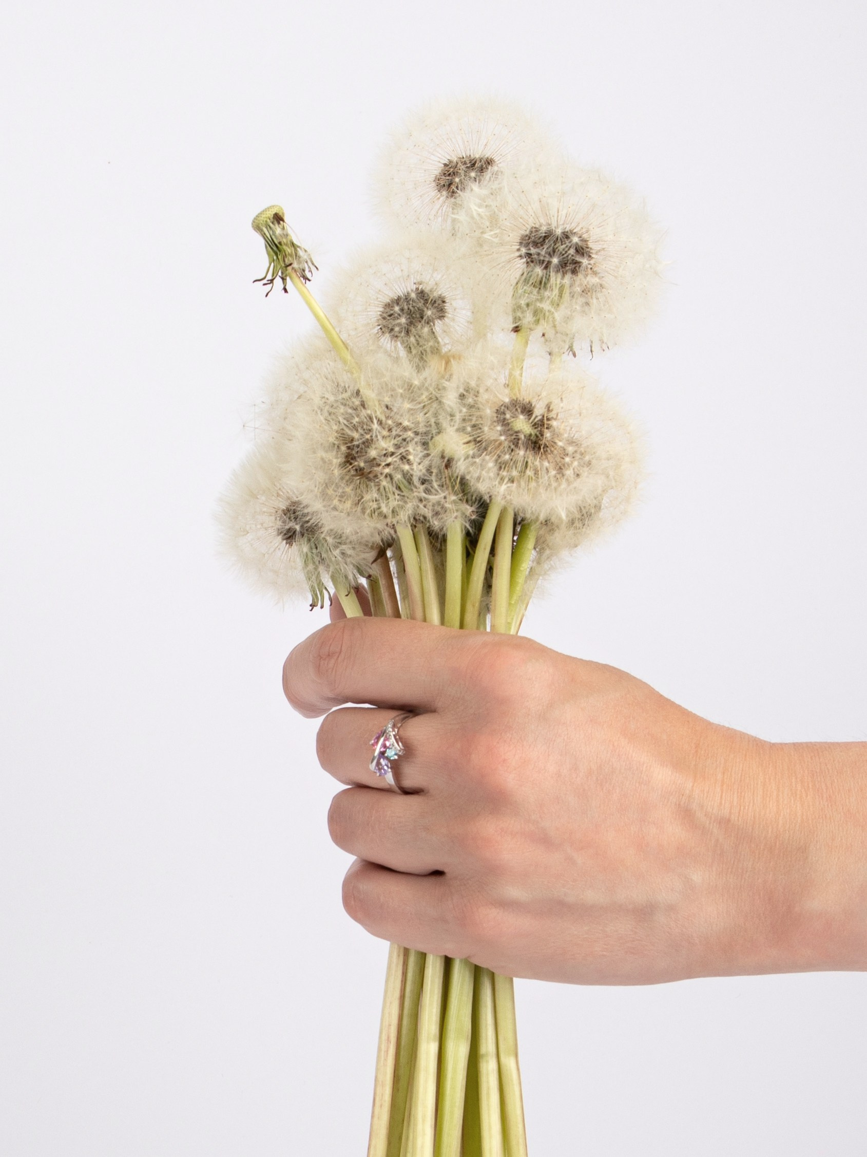 Предметный и семейный фотограф в Санкт-Петербурге Катерина Стеклова