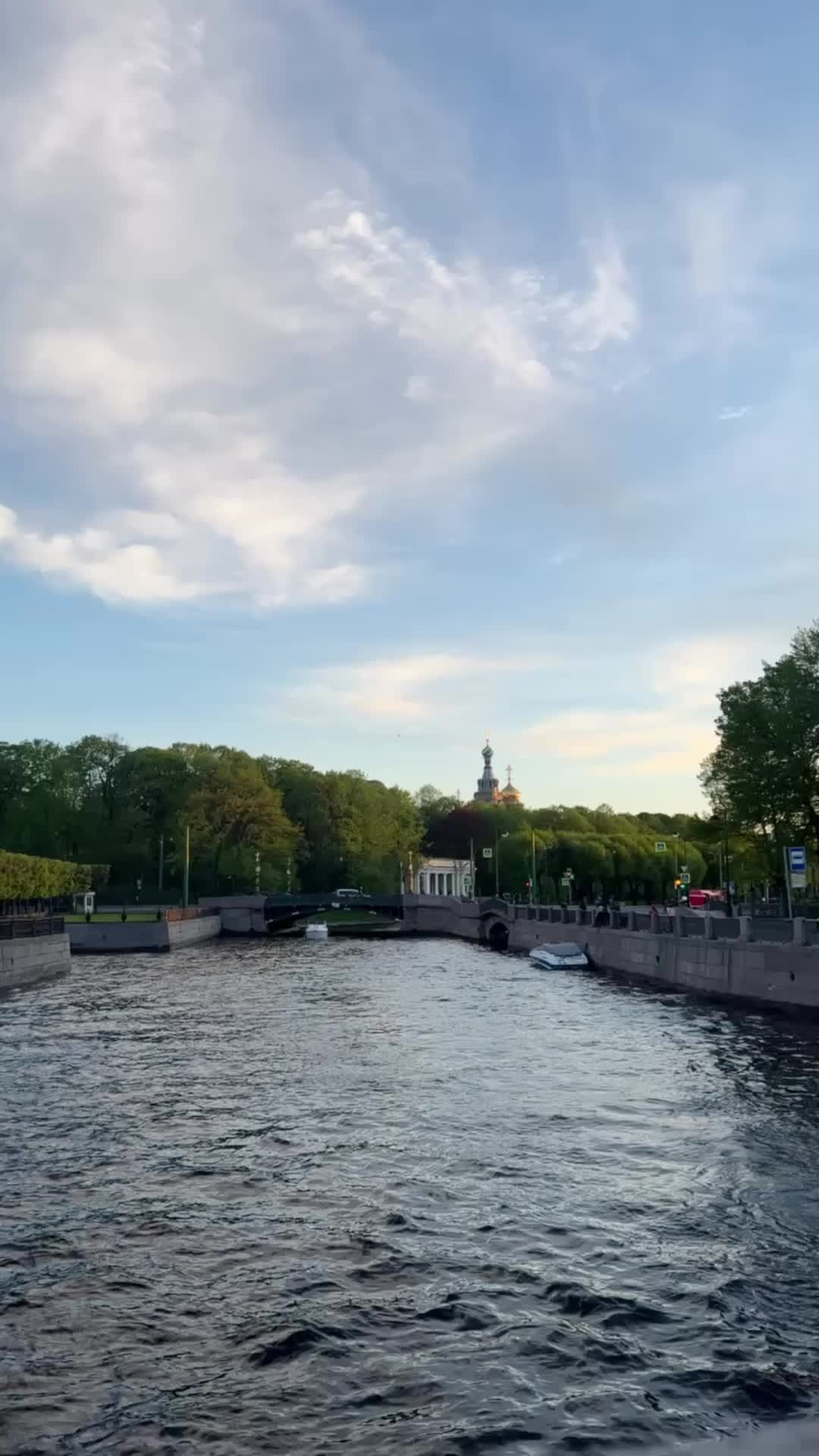 Все пресеты VN | Эффект плёнки. Кинематографичный фотограф, видеограф Лина Плешакова, Санкт-Петербург