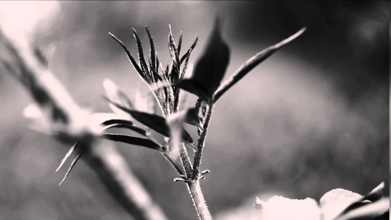 Video-art. Фотограф Женя Грош в Москве