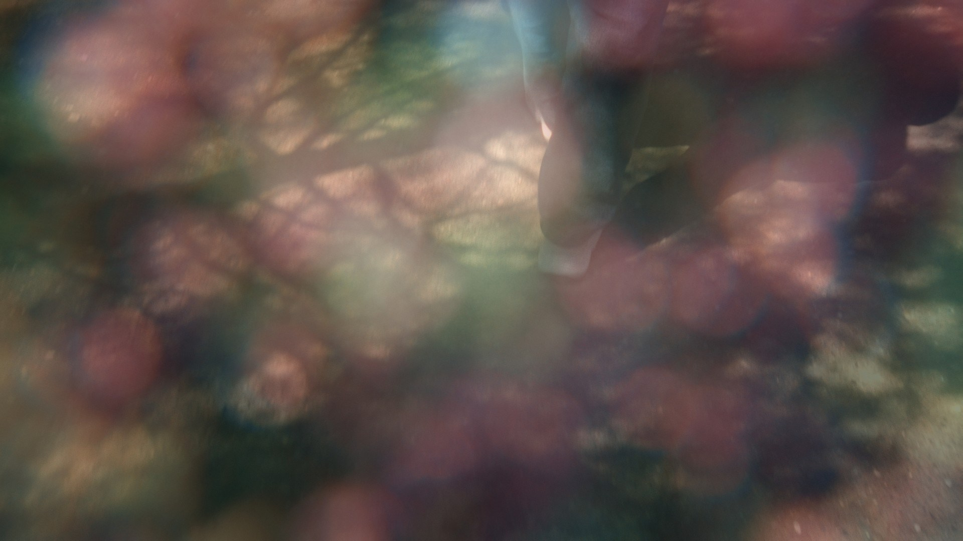 LONG JOURNEY. Anna Konushkina — visual artist