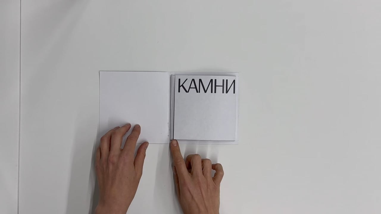 Настя Арланцева — Мох Снег Камни