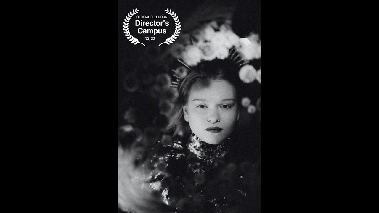 Контент видео. Видеограф Ярославль