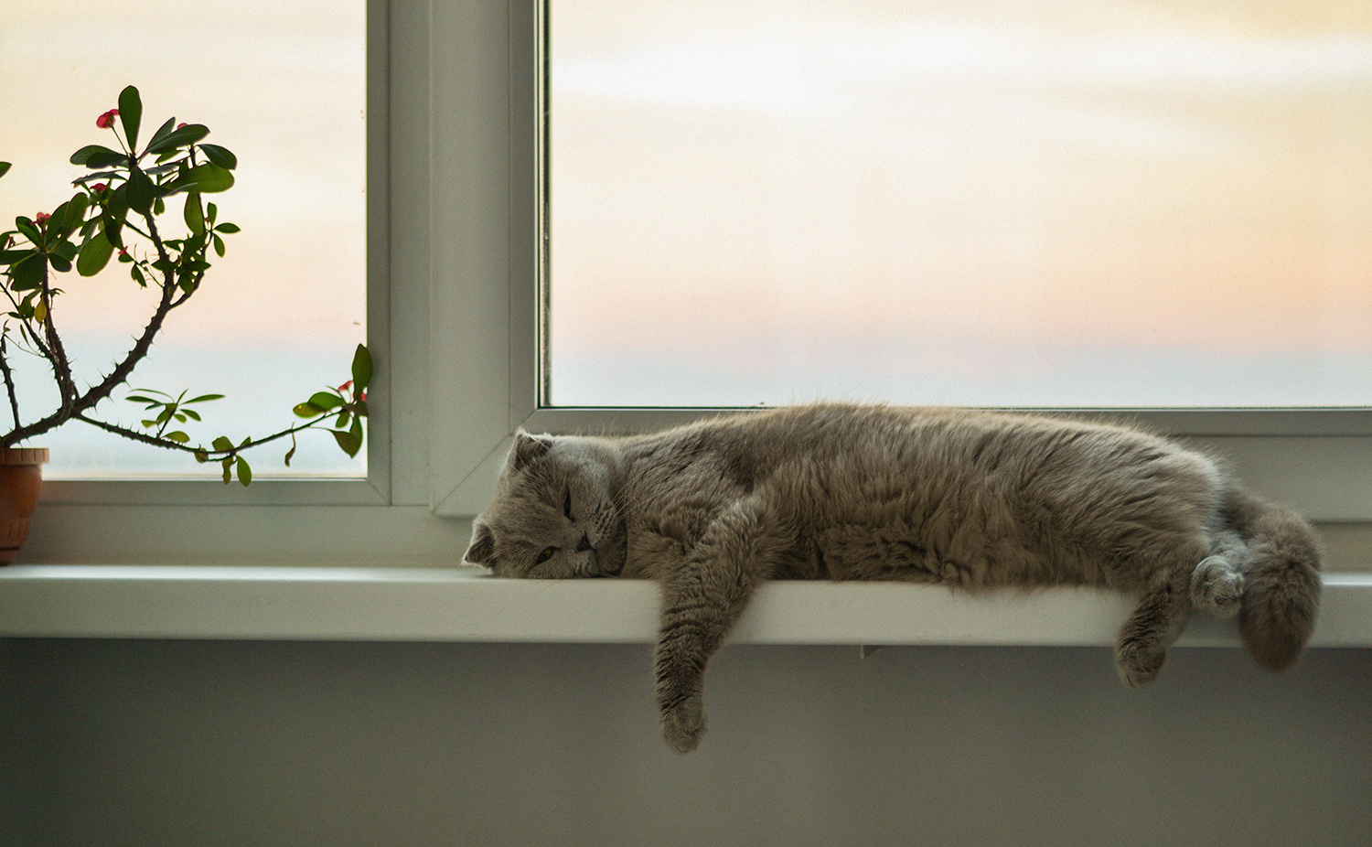 Пейзажи. Фотограф Норильск, Москва