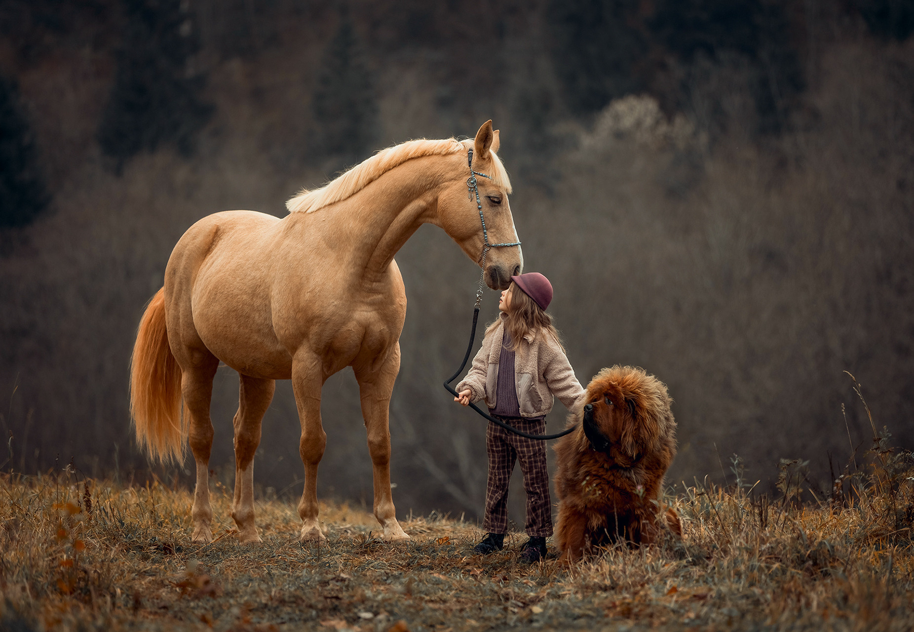 Детская Конная фотография в Москве Юлия Шепелева