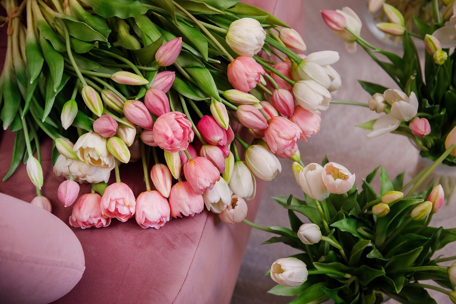 Студийная съёмка. Ваш фотограф Светлана Мицукова