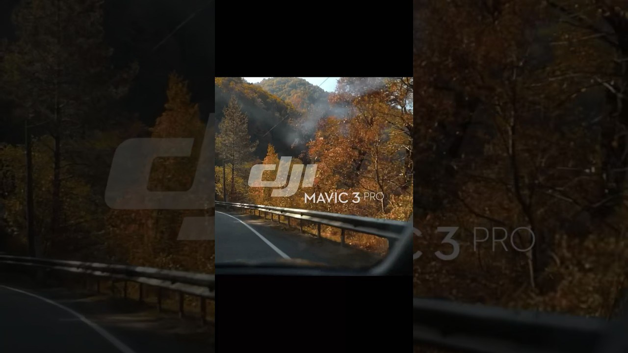 Film. Фотограф и видеограф Елена Хмелевская