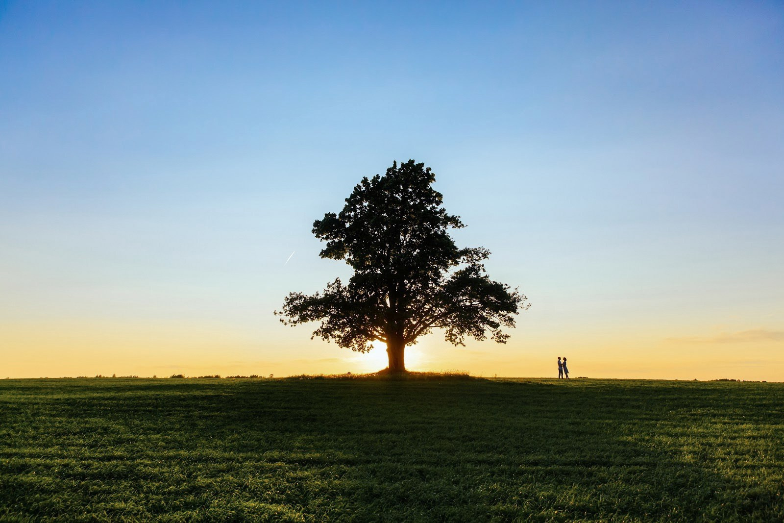 Свадебный и репортажный фотограф