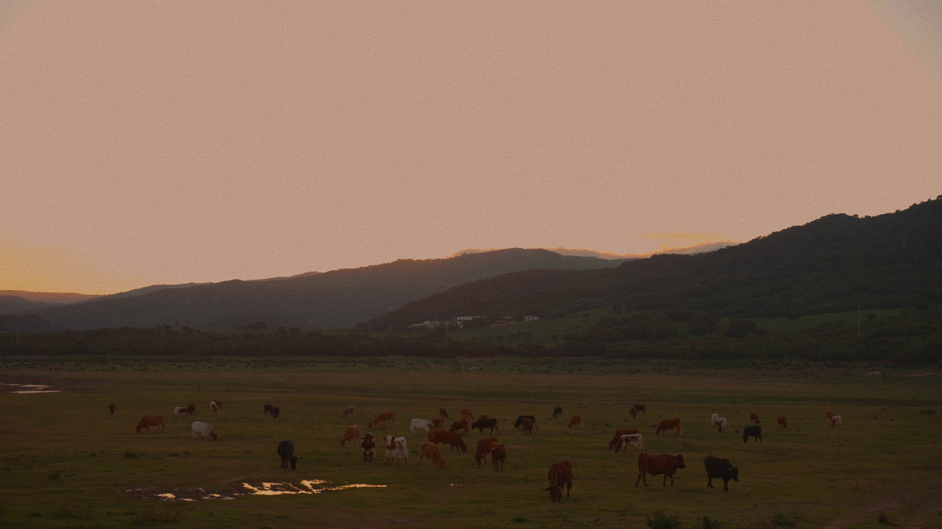 Работы. Видеограф в Волгограде Владислав Баннов