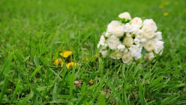 Видеограф и Фотограф на свадьбу в Краснодаре