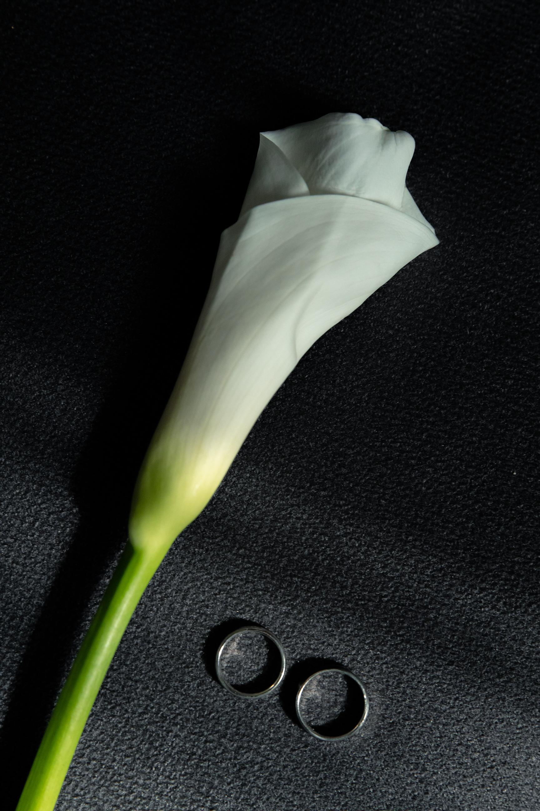 Маннуэль & Алина. Yura Rush Свадебный фотограф Тюмень