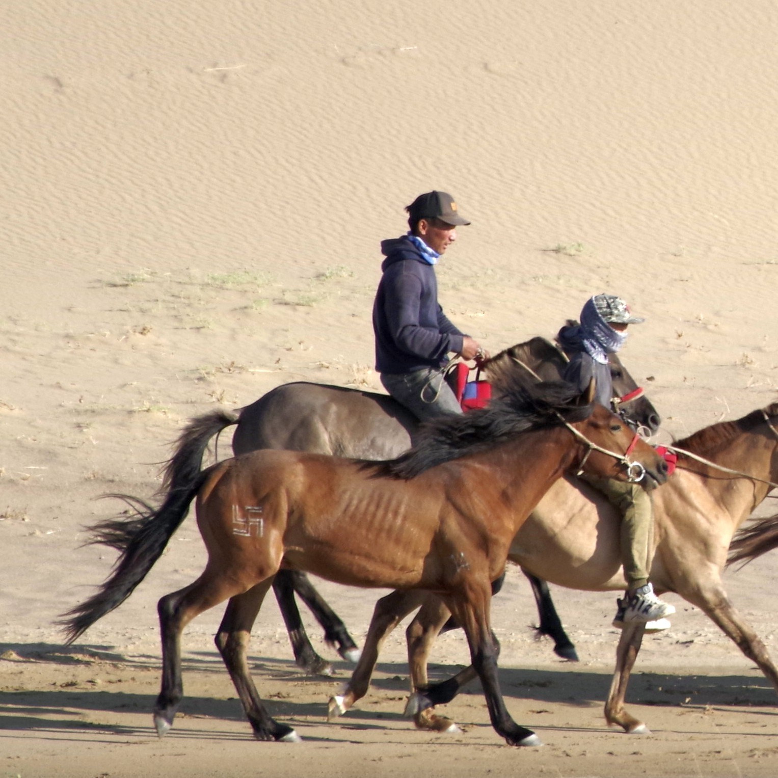 Экспедиция в Монголию (Гоби). Семоха Валерий. Фотограф