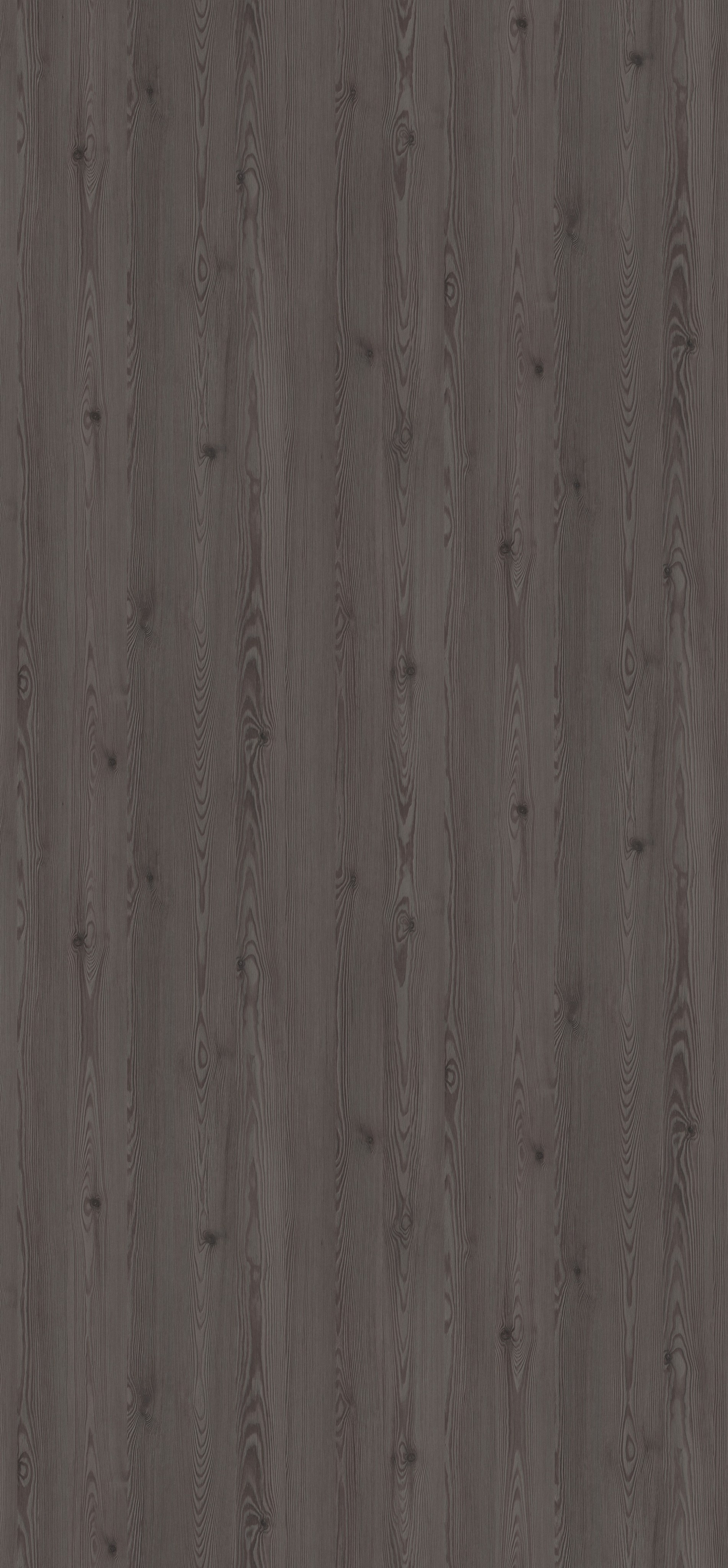 EGGER. Главная