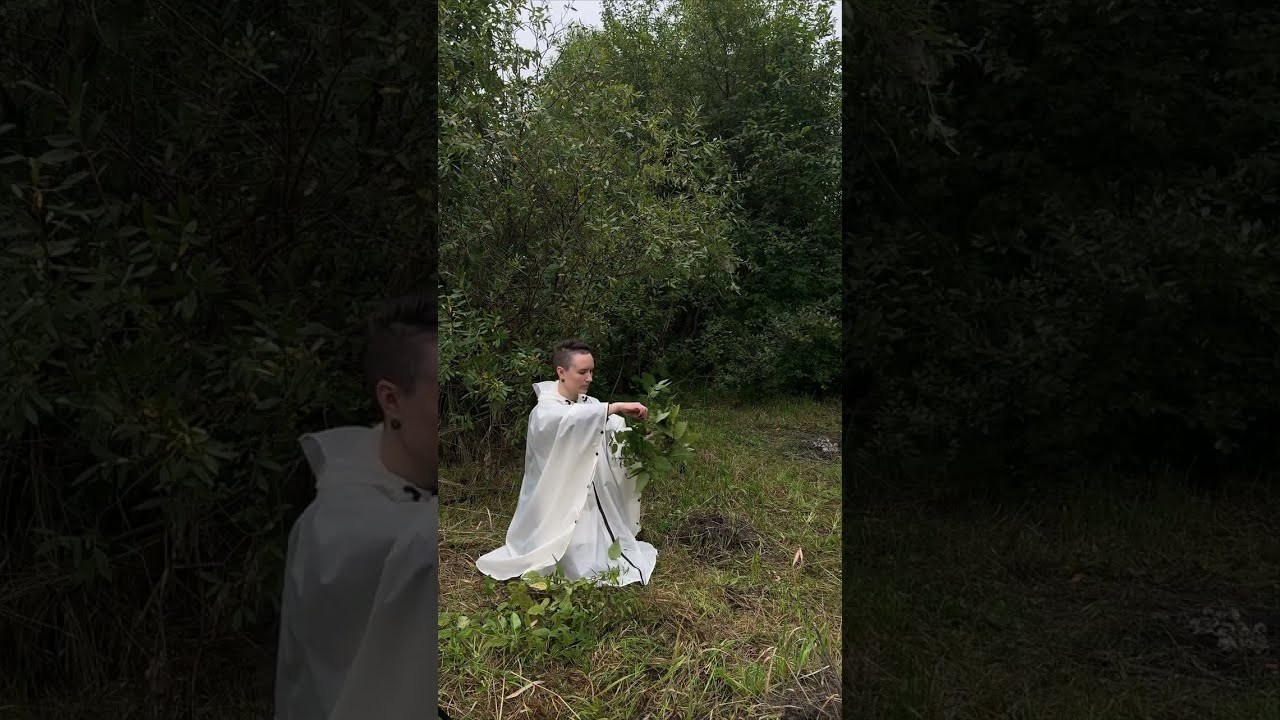 Аня Ким — Дикий сад