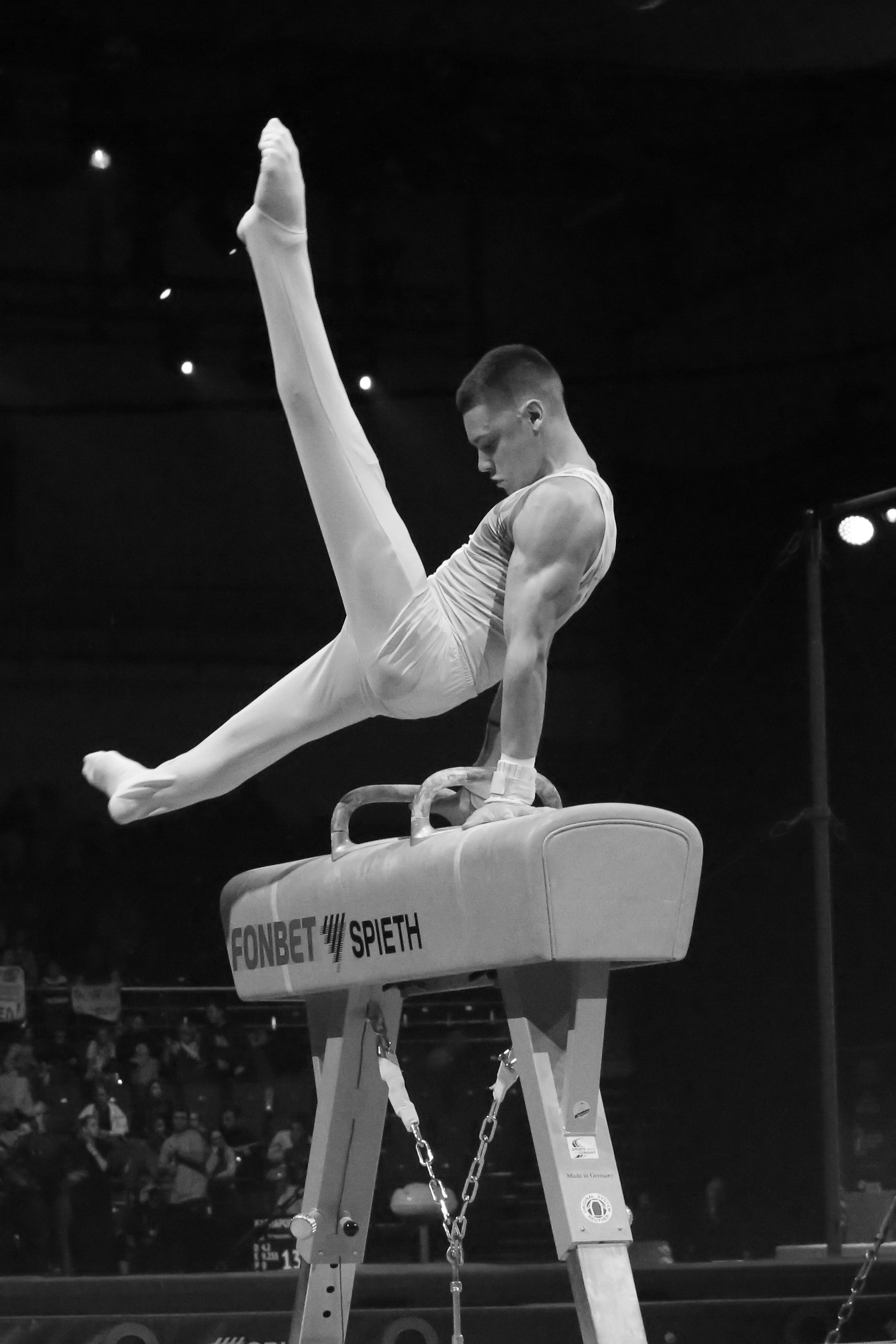 «Спорт через объектив: история в каждом снимке!»