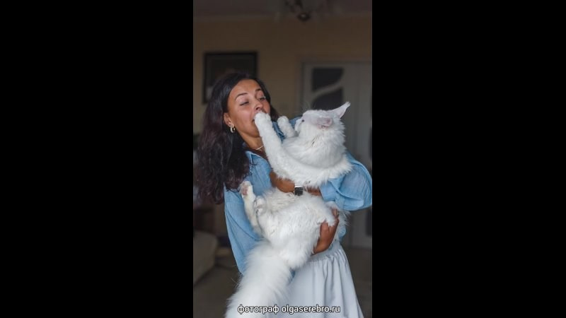 Белый кун Марсик и Яна. Фотограф Челябинск · Ольга Серебрякова