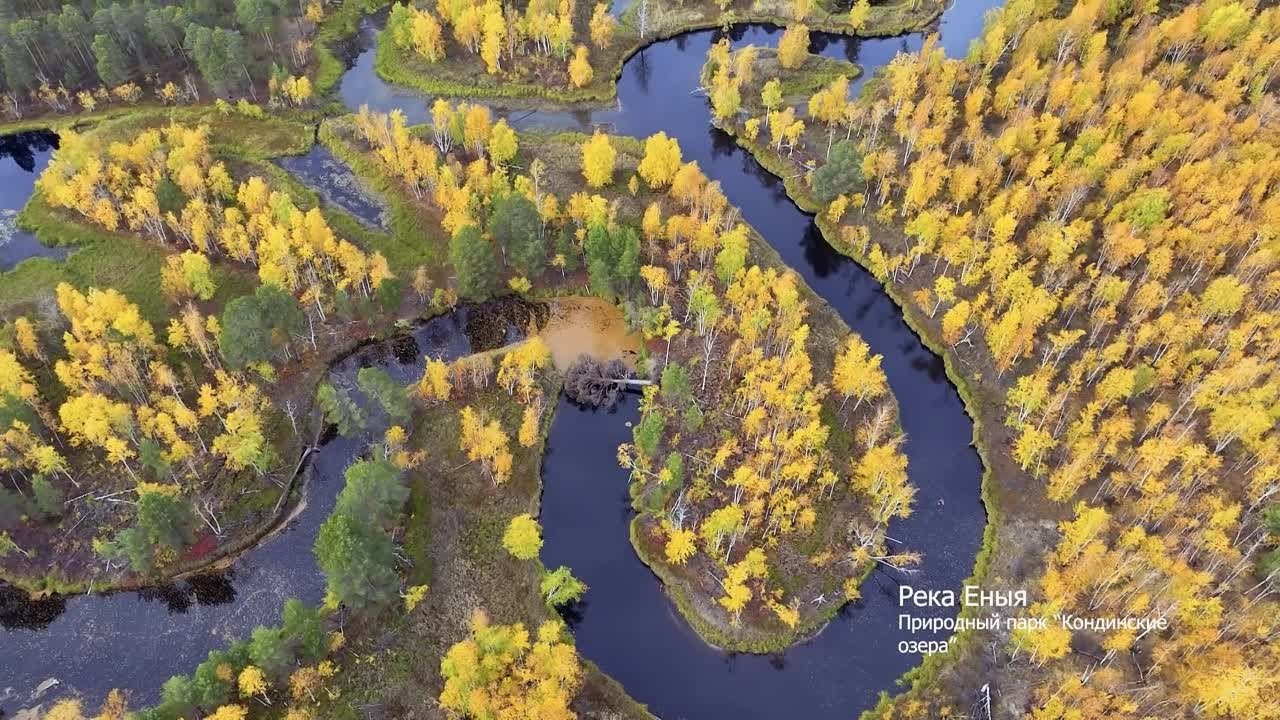 Видео. Фотограф Татьяна Борисова